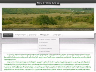 New Broker Group