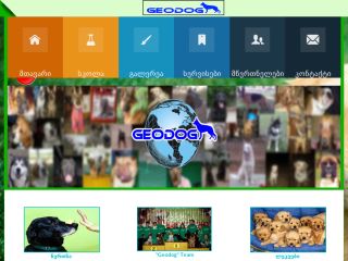 Geodog-ძაღლების წვრთნის სკოლა
