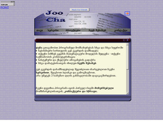 WEB + IT Service - JOOCHA.GE