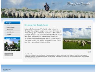 Live sheep from Georgia